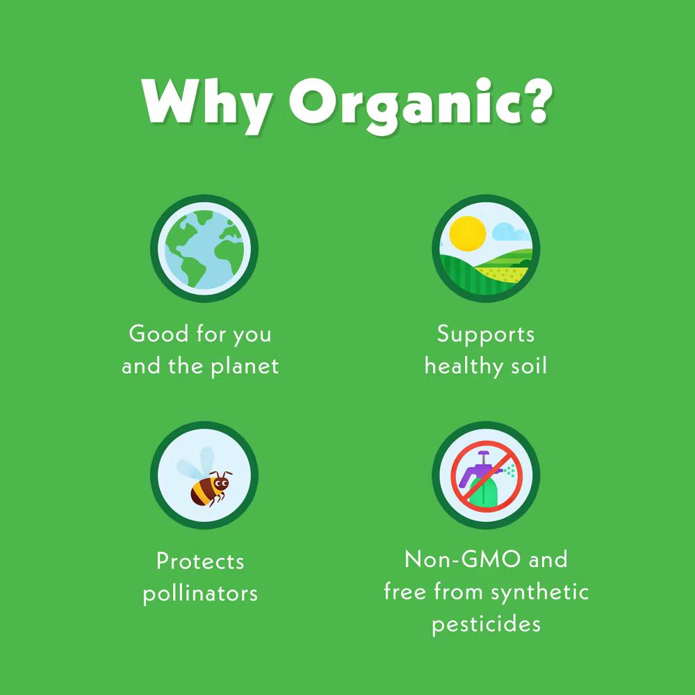 Go-Go Greens Organic Dairy-Free Kids' Smoothie - 4oz Pouch - Image 3