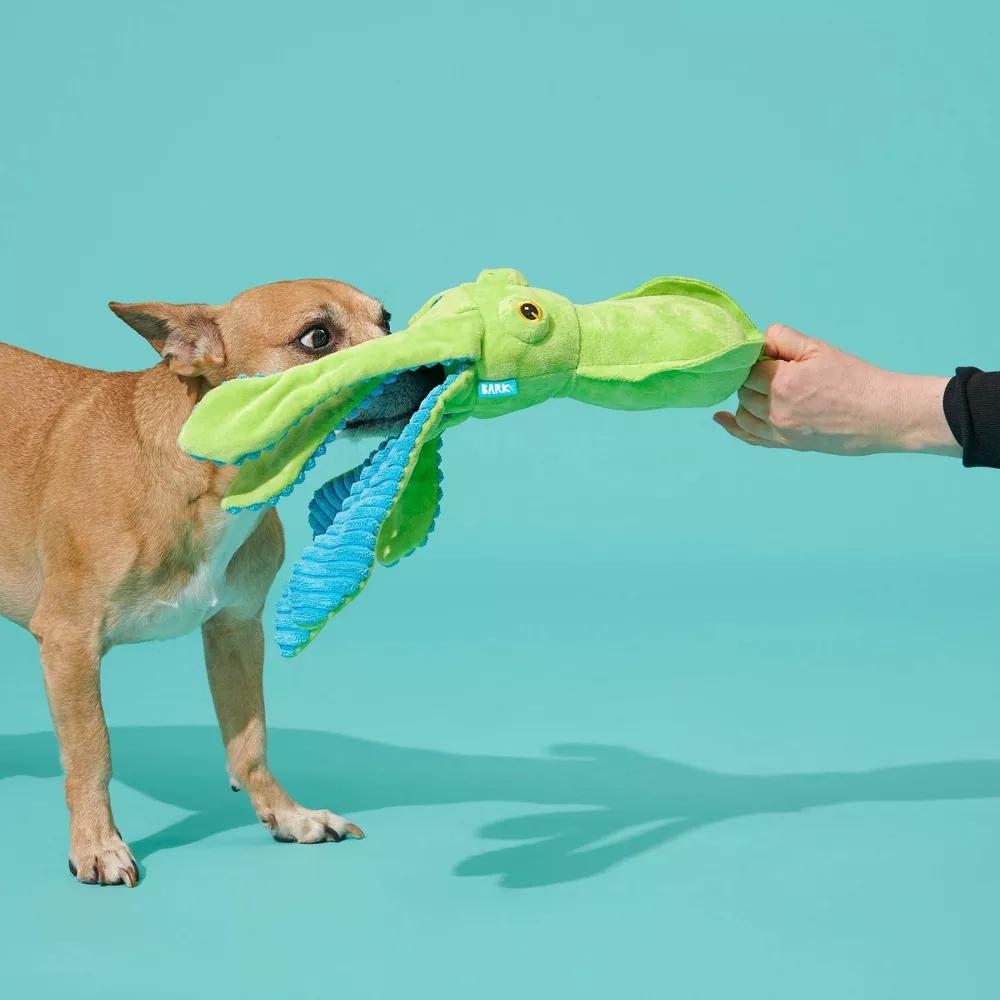 Billy The Squid Dog Toy - Green: Squeaks, All Ages, Plush Animal, Fetch & Cuddle - Image 2