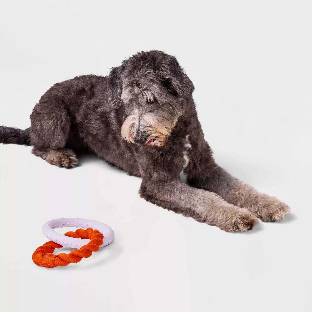 Rubber Dog Ring Toy - Image 3