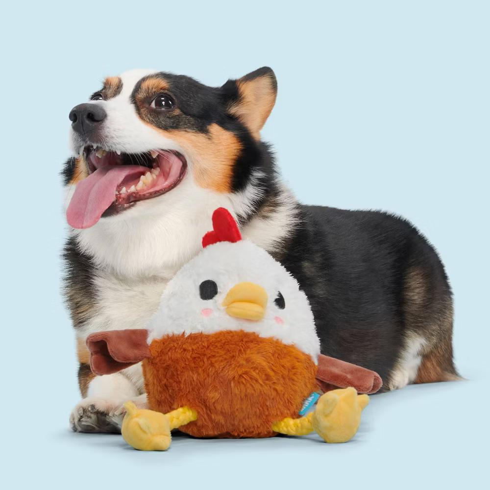 9.5" Classic Fuzzy Farm Rooster Plush Rope Dog Toy - Image 2