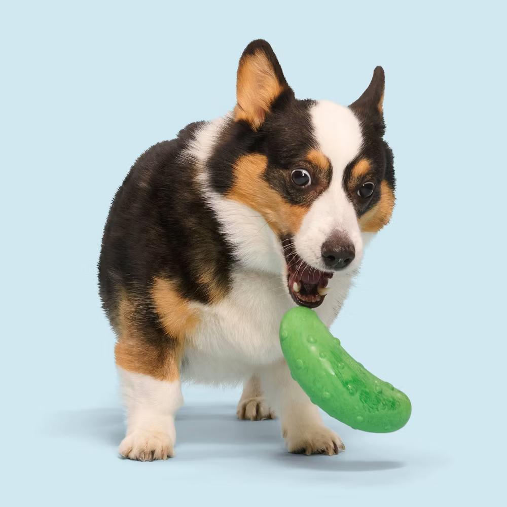 Super Chewer Pickle Stickle Pickle Dog Toy: Medium Breed, Rubber, 0.36 lb - Image 3