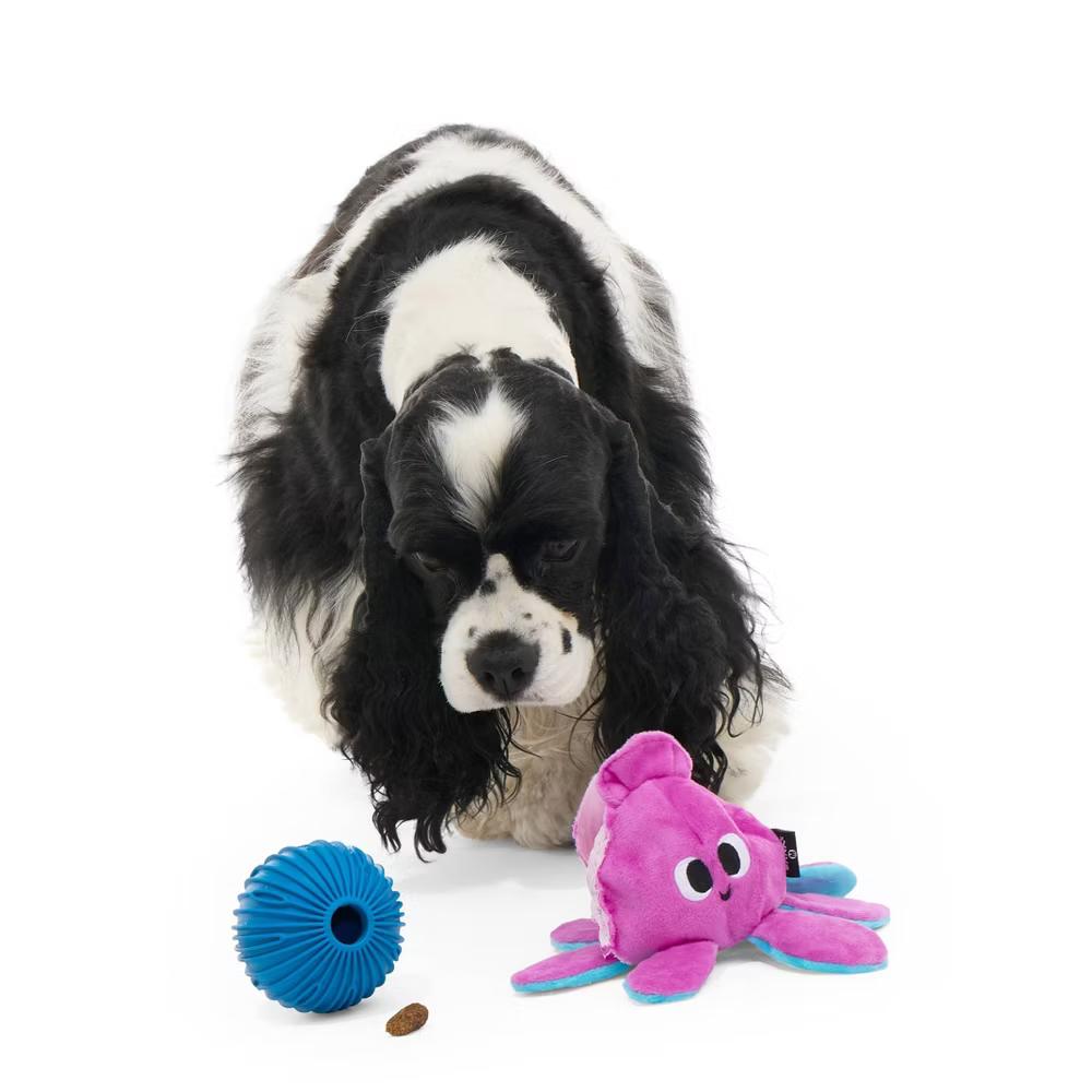Octopus Dog Toy - Squid the Kid: Stuffing Free, Holds Treats, Plush, All Sizes - Image 2