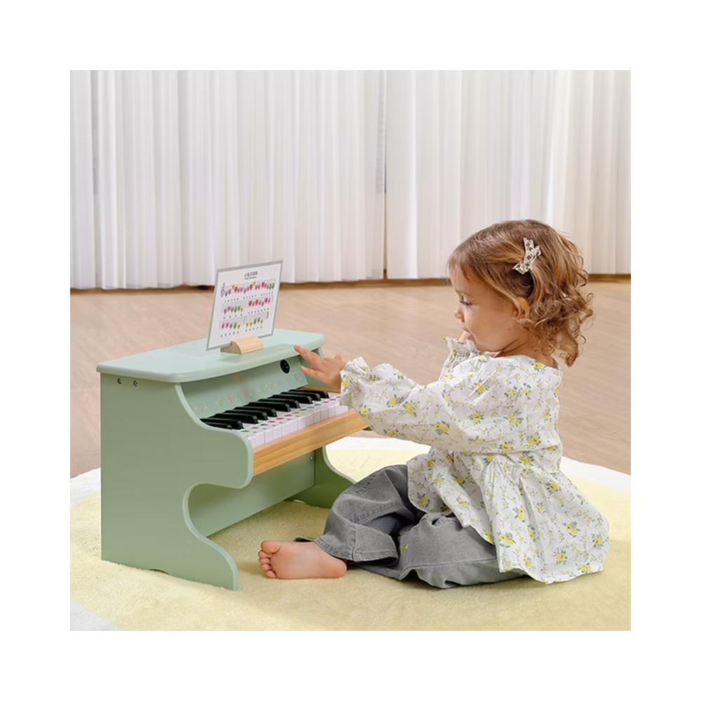 Freniland™ - Kids Piano Keyboard, 25 Keys Digital Piano for Kids, Mini Music Educational Instrument Toy, WoodenToy for Toddlers Girls Boys - Image 5