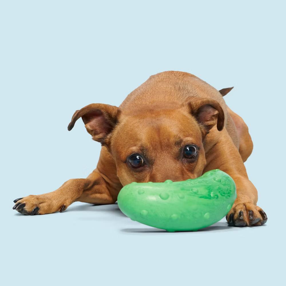 Super Chewer Pickle Stickle Pickle Dog Toy: Medium Breed, Rubber, 0.36 lb - Image 5