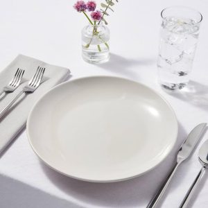 10" Stoneware Avesta Dinner Plates
