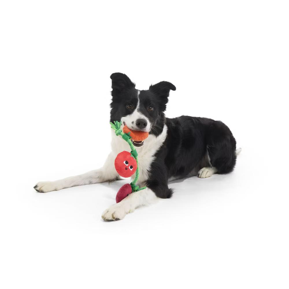Tomato Dog Toy - The Vine Trinity - Image 3