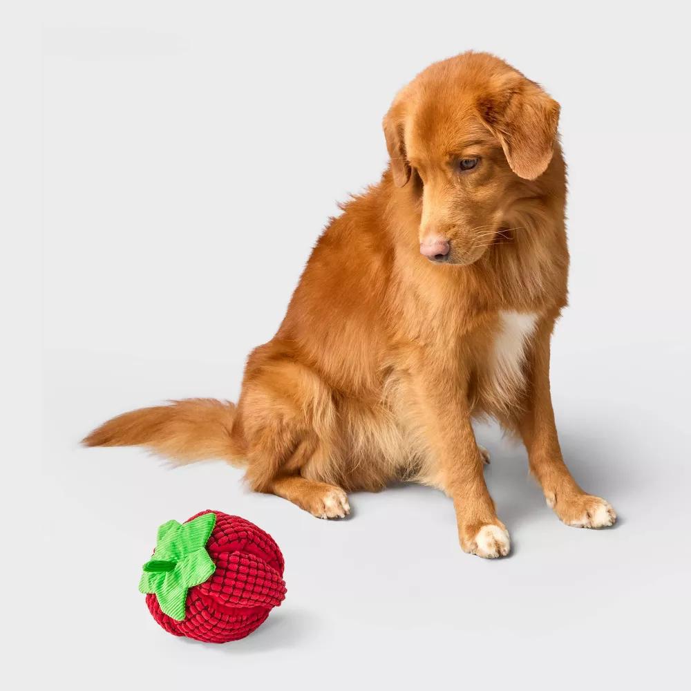 Strawberry with Crinkle Plush Dog Toy - Image 3