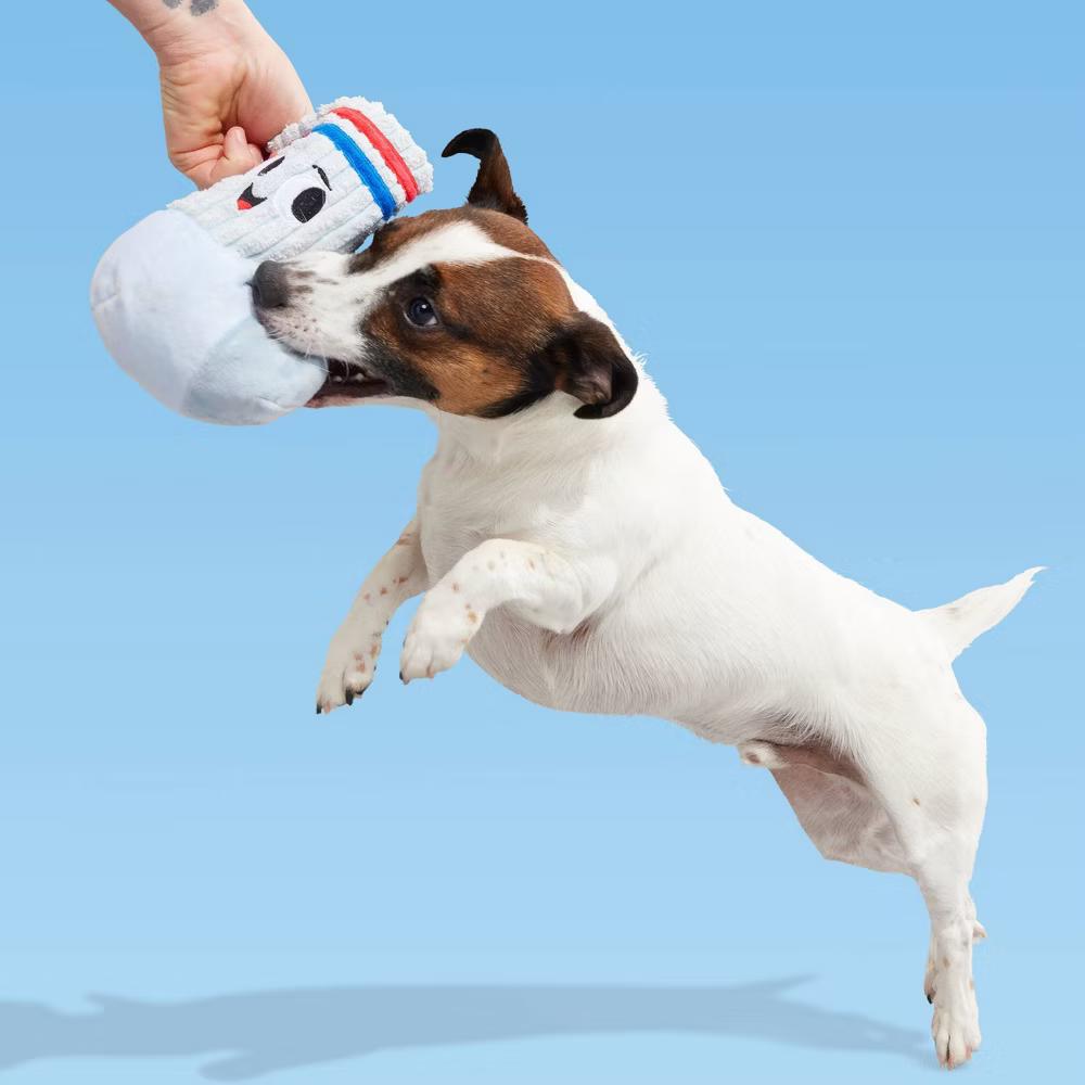 Snack Pack Jim Sock Dog Plush Toy: Squeaks, Chew, Occupy, Cuddle, All Sizes - Image 5