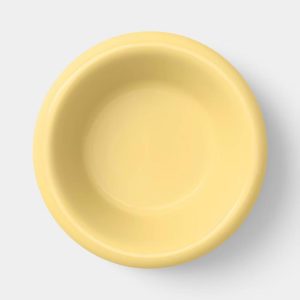 Stoneware Round Rim Pasta Bowl