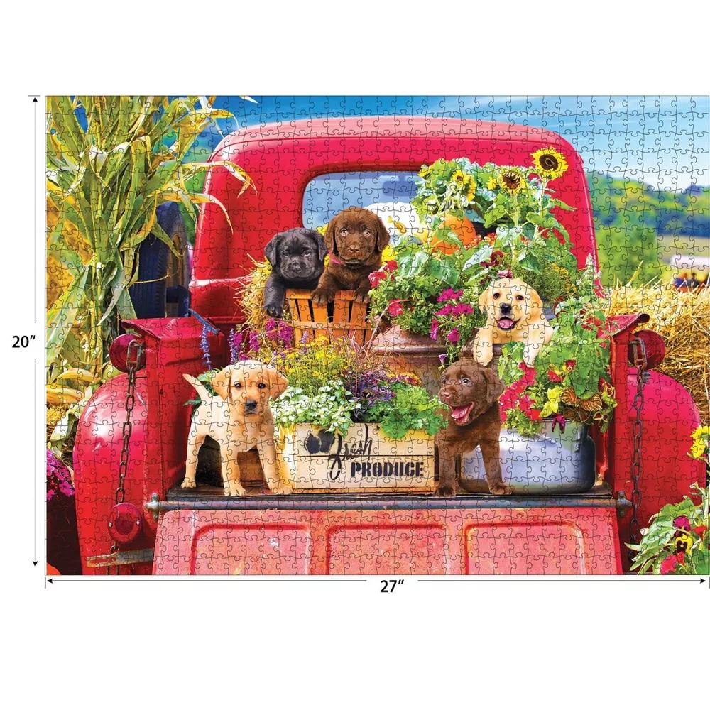 Kodak Premium Stowaways Jigsaw Puzzle - 1000pc