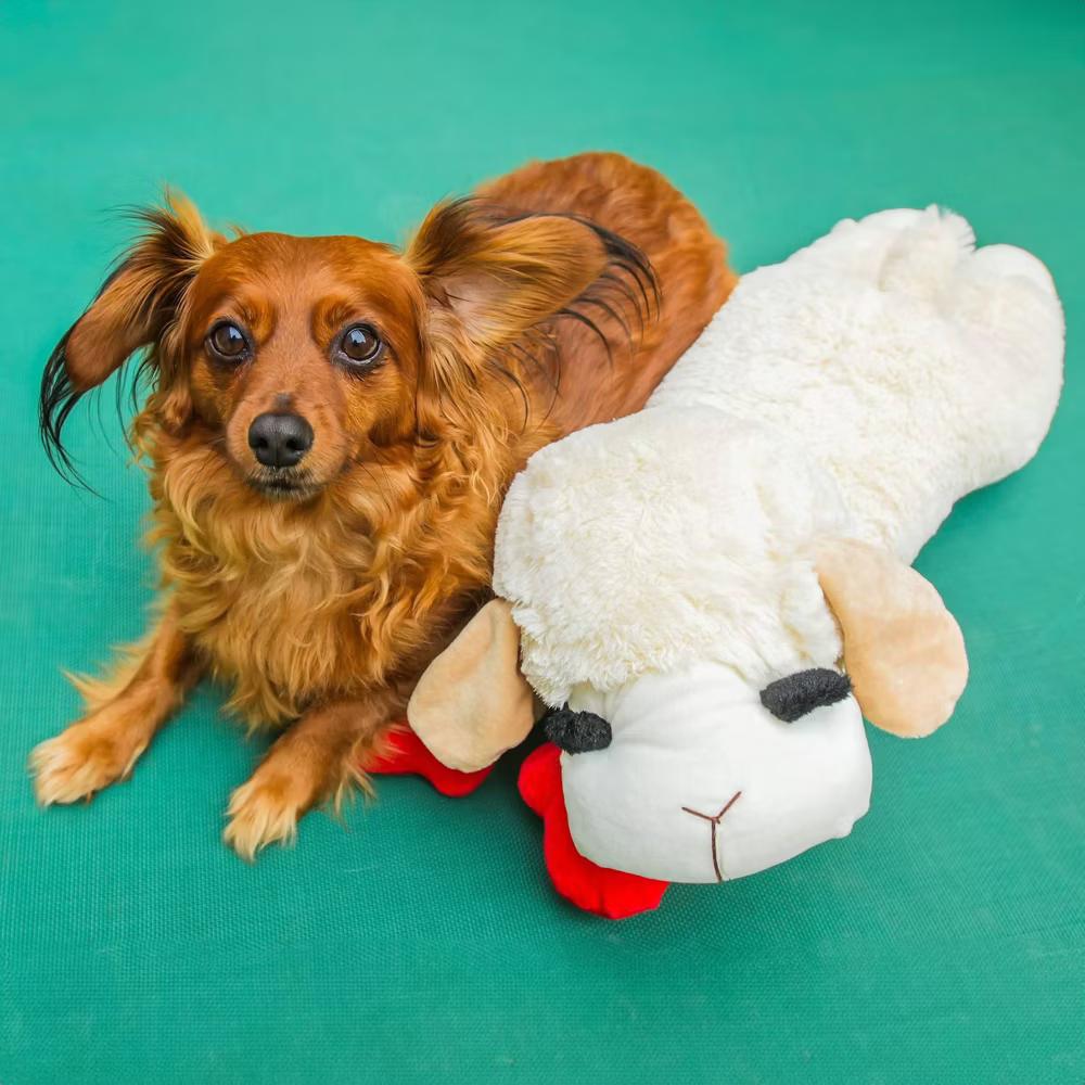 Jumbo Lamb Chop Dog Interactive Plush Toy: All Sizes, Occupy And Cuddle, 0.94 Lbs - Image 3