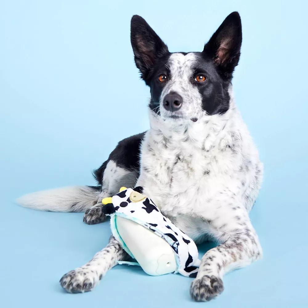 Super Chewer Mad Cow Dog Toy: Squeaks, Stuffing Free, Interactive, All Ages
