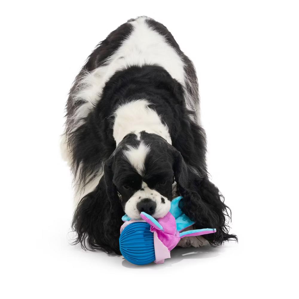 Octopus Dog Toy - Squid the Kid: Stuffing Free, Holds Treats, Plush, All Sizes - Image 3