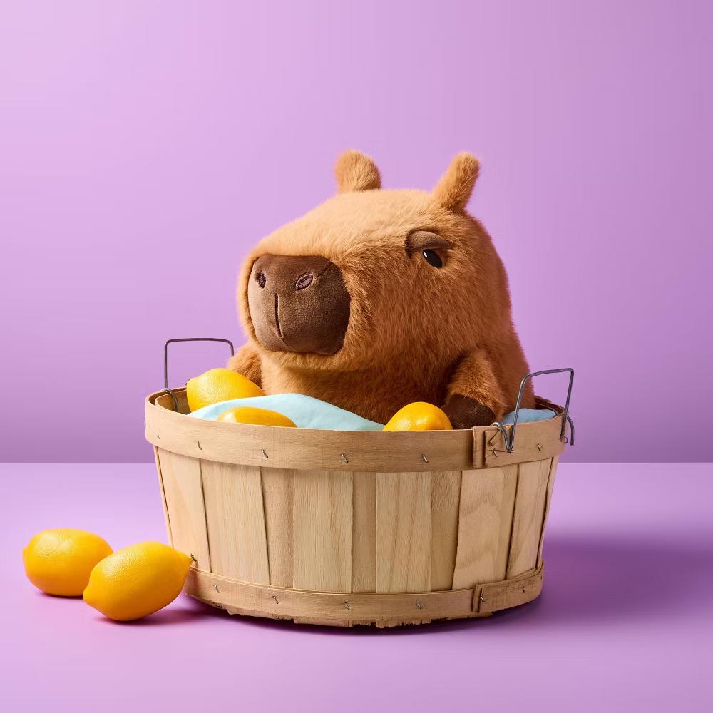 10" Capybara Stuffed Animal - Image 3