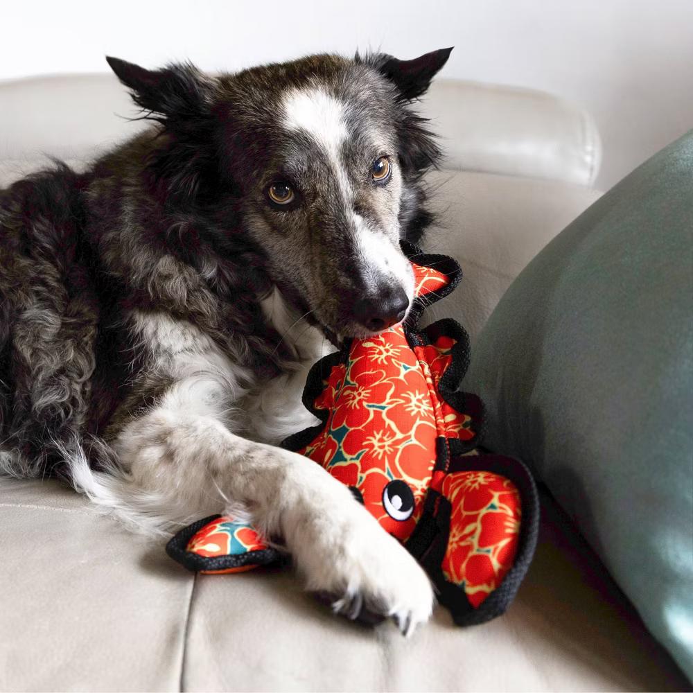 KONG Hibiscus Lobster Ballistic Dog Animal Toy: Nylon, Occupy, Cuddle, Medium/Small Breed Size - Image 4