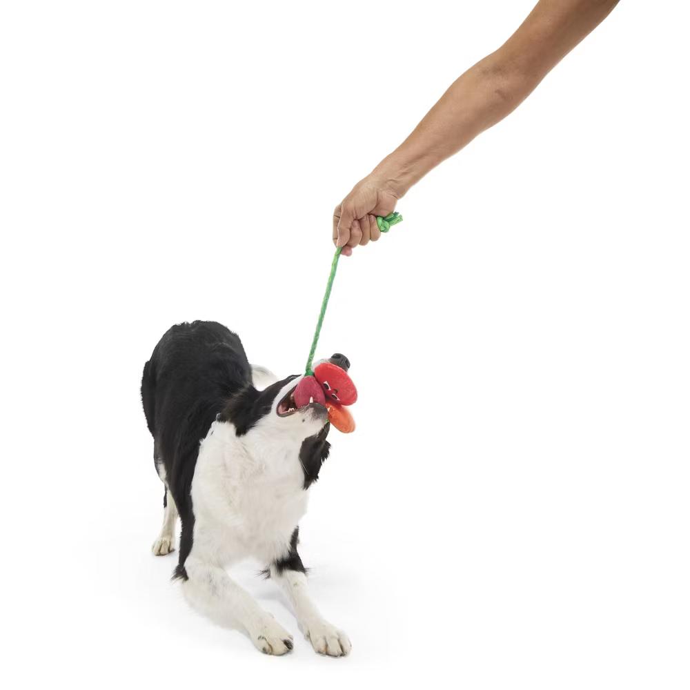 Tomato Dog Toy - The Vine Trinity - Image 6
