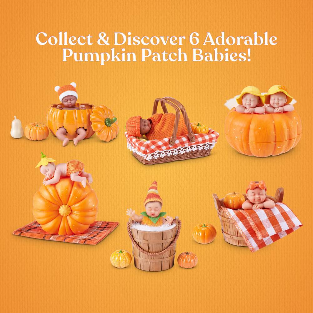 My Mini Pumpkin Patch - Image 6