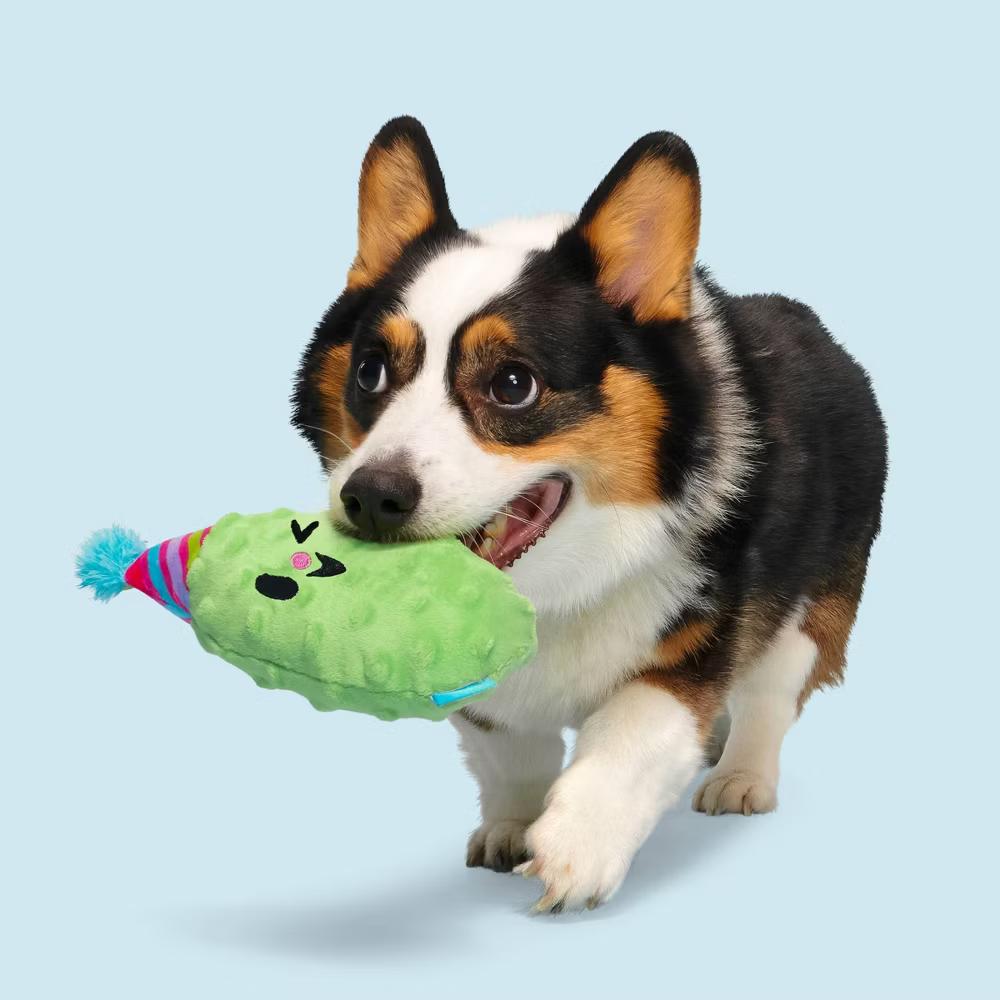 Party Pickle Phil Dog Toy: Squeaks, For All Sizes, Food Shaped, Cuddle - Image 7