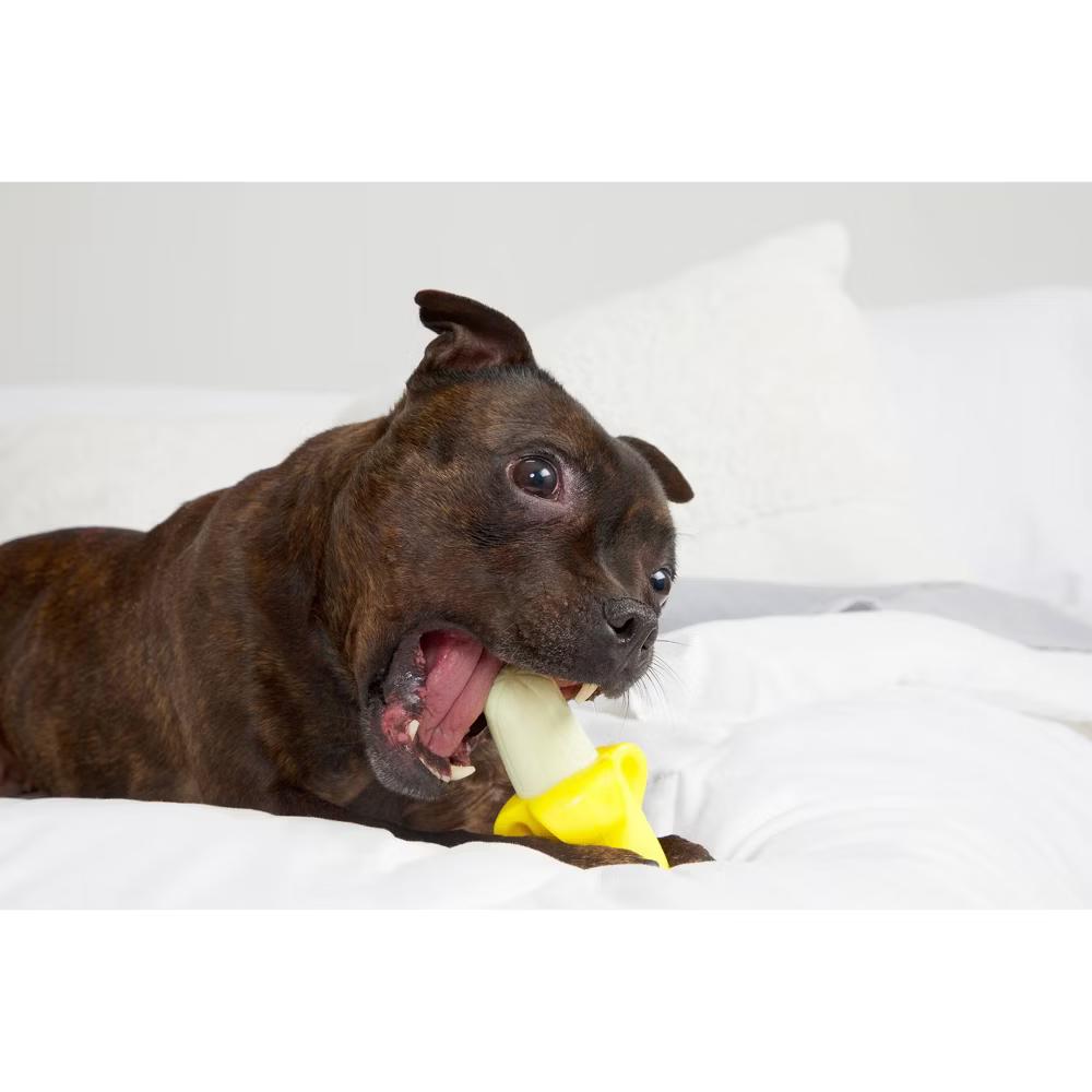 Ba-gnaw-na Super Chewer Dog Food Shaped Toy - Image 6