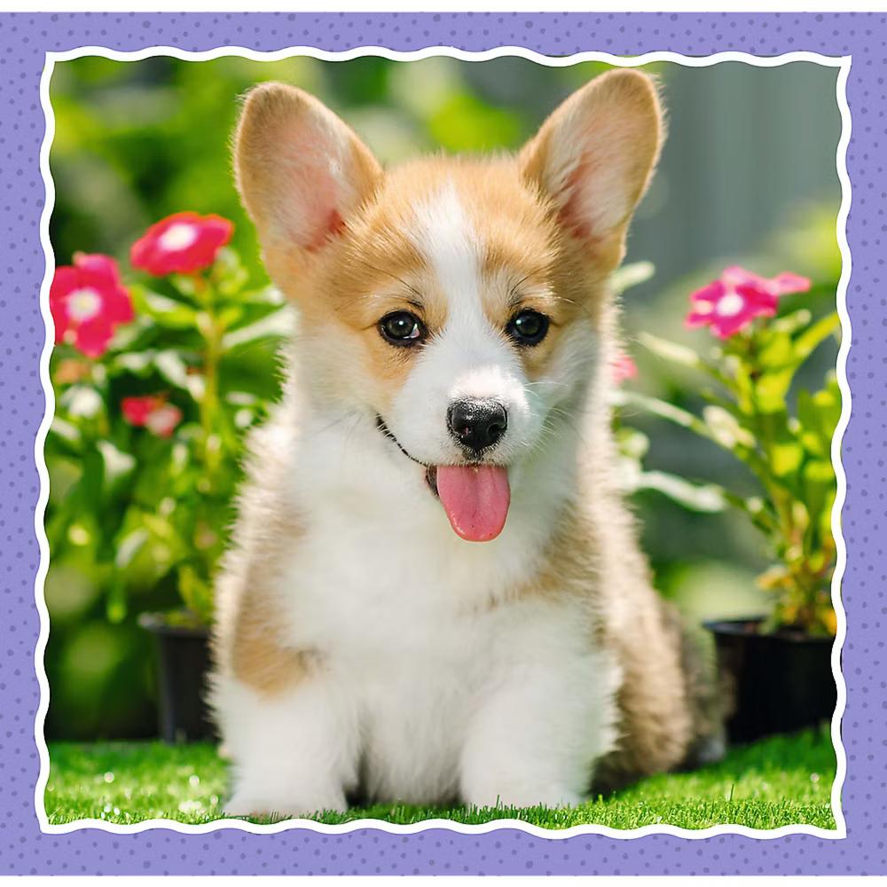 Preschool 3 in 1 Puzzle - Lovely Dogs - Image 2