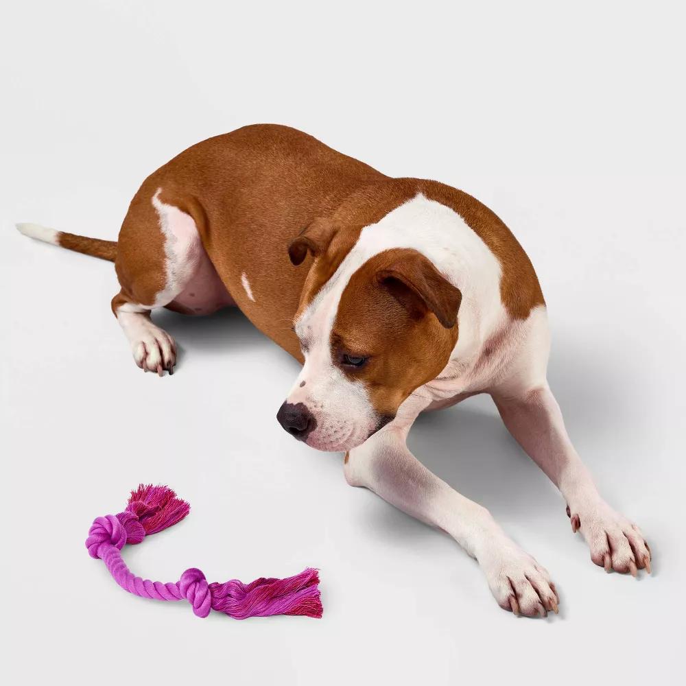 10" Mini Rope Dog Toy - Purple - Image 3