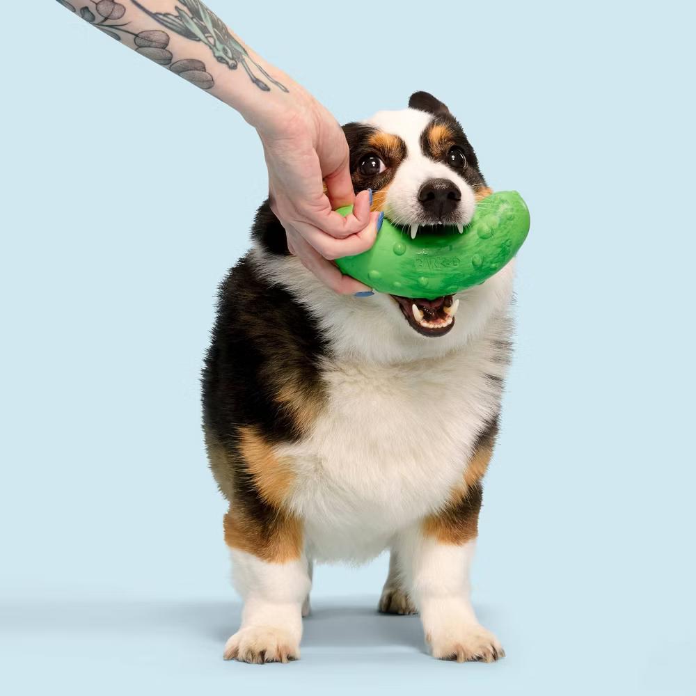 Super Chewer Pickle Stickle Pickle Dog Toy: Medium Breed, Rubber, 0.36 lb - Image 4