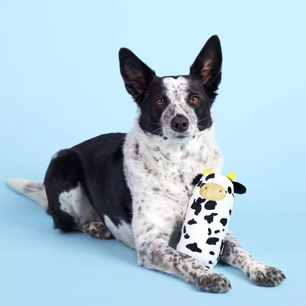 Super Chewer Mad Cow Dog Toy: Squeaks, Stuffing Free, Interactive, All Ages - Image 6