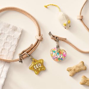 3ct Resin Pet Tags Craft Activity Kit