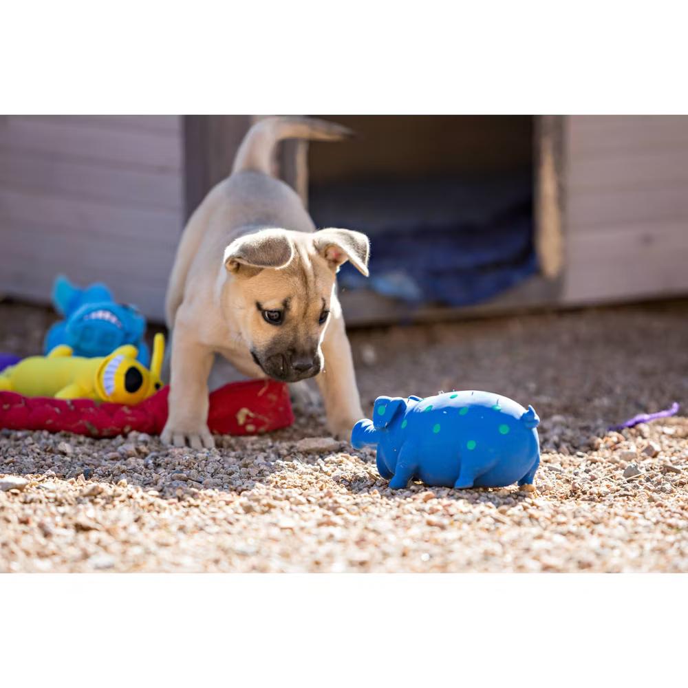 Latex Polka Dot Pig Dog Toy - Blue - 9" - Image 5