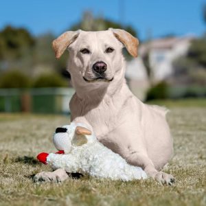 10.5" Lamb Chop Interactive Plush Dog Toy