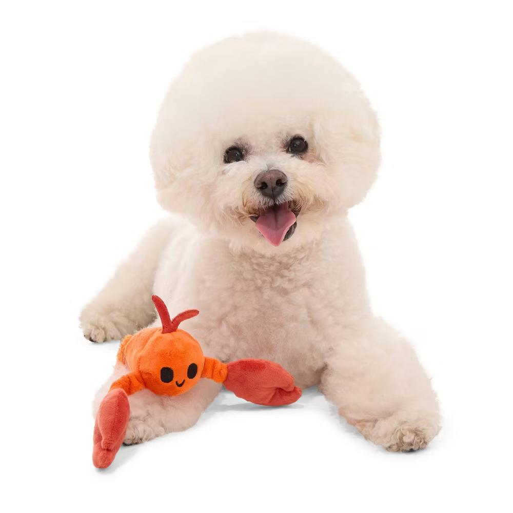 Crawfish Dog Toy - Della Crawfish: Squeaks, Crinkles, Small Breed, Chew & Fetch Activities - Image 5