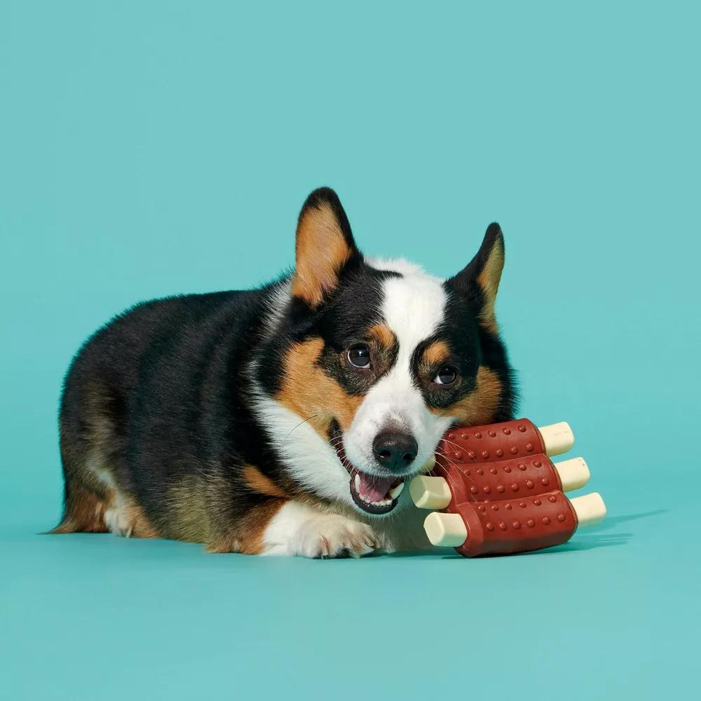 Super Chewer Wreck of Ribs Dog Toy: Scented, Stuffing Free, Nylon Rubber, Large Medium Breeds - Image 4