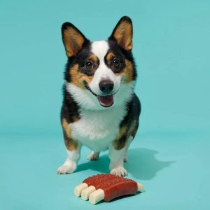 Super Chewer Wreck of Ribs Dog Toy: Scented, Stuffing Free, Nylon Rubber, Large Medium Breeds