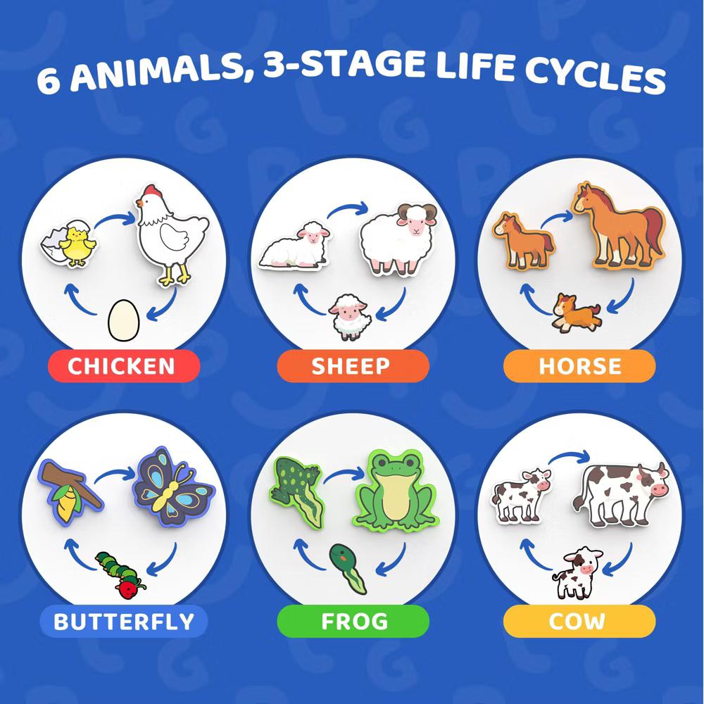Wooden Puzzles for Toddlers 1-3, Life Cycle Animal Toddler Puzzles, Montessori Toys
