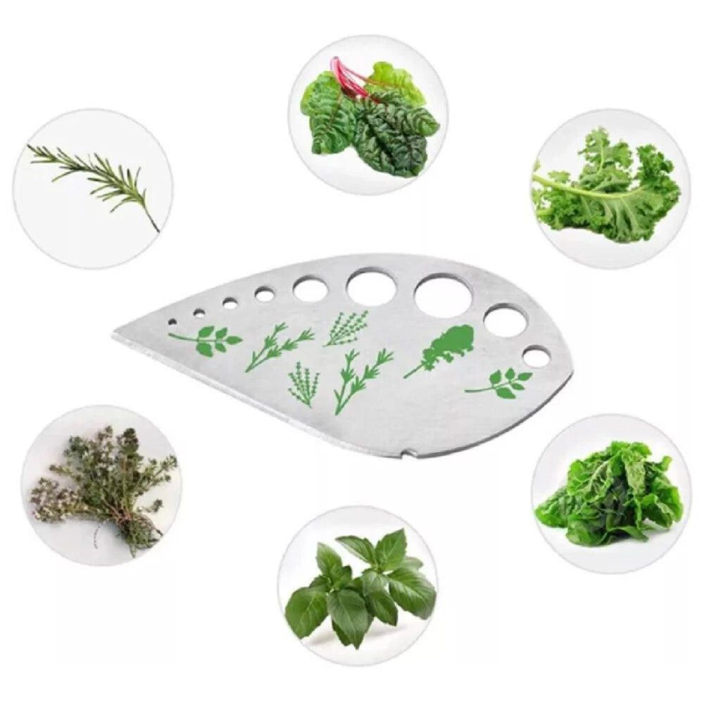 Home Collection 9-Hole Stainless Steel Herb Stripper - Image 3