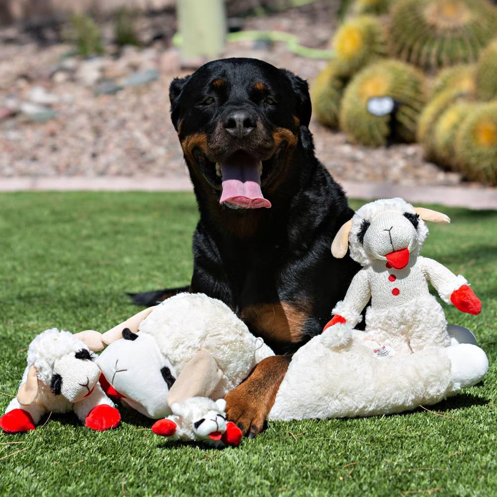 10.5" Lamb Chop Interactive Plush Dog Toy - Image 2