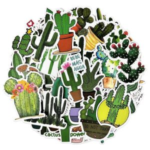 100pcs-cactus-fun