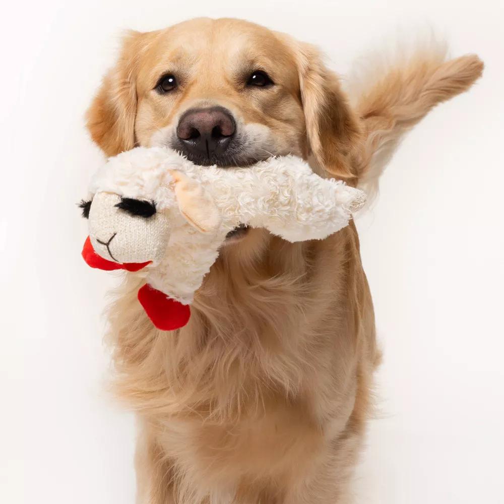 10.5" Lamb Chop Interactive Plush Dog Toy - Image 5