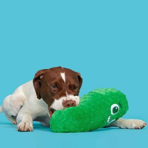 Big Dill Bill Pickle Dog Toy - Green: Squeaks, Crinkles, All Ages, Fetch & Cuddle