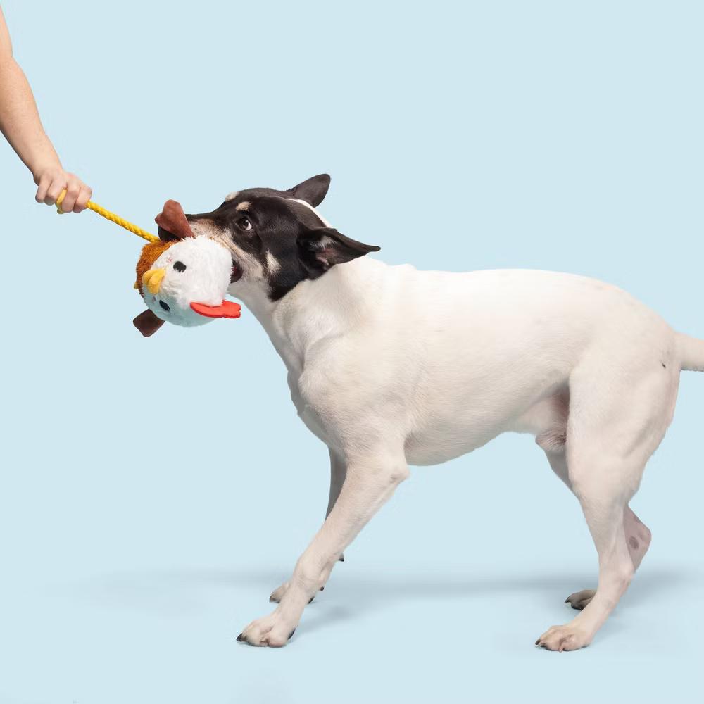 9.5" Classic Fuzzy Farm Rooster Plush Rope Dog Toy - Image 3