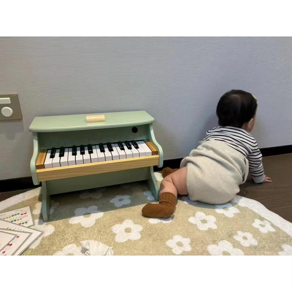 Freniland™ - Kids Piano Keyboard, 25 Keys Digital Piano for Kids, Mini Music Educational Instrument Toy, WoodenToy for Toddlers Girls Boys - Image 6