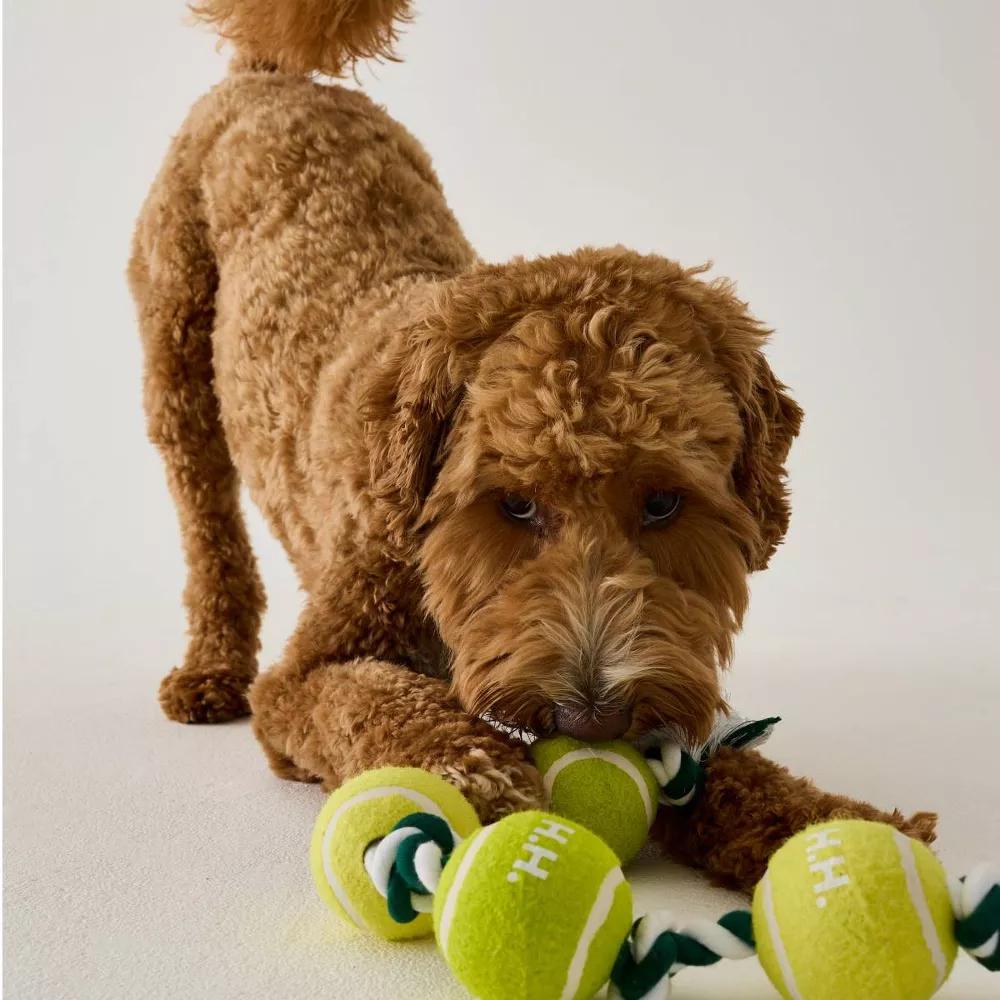 Hooray House Tennis Ball Rope Tug Toy - Image 2