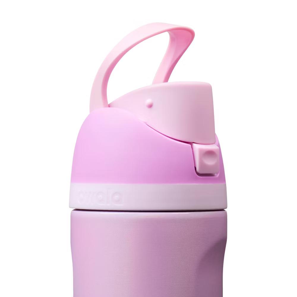 24 fl oz Stainless Steel FreeSip Insulated Water Bottle - Image 19