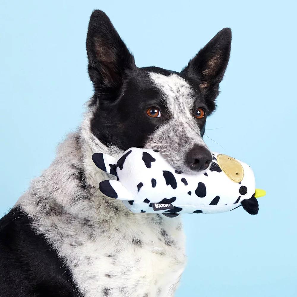 Super Chewer Mad Cow Dog Toy: Squeaks, Stuffing Free, Interactive, All Ages - Image 2