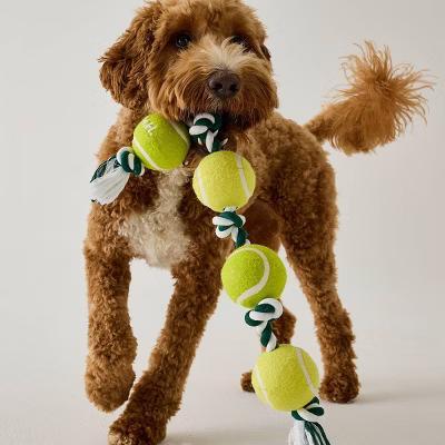 Hooray House Tennis Ball Rope Tug Toy - Image 6