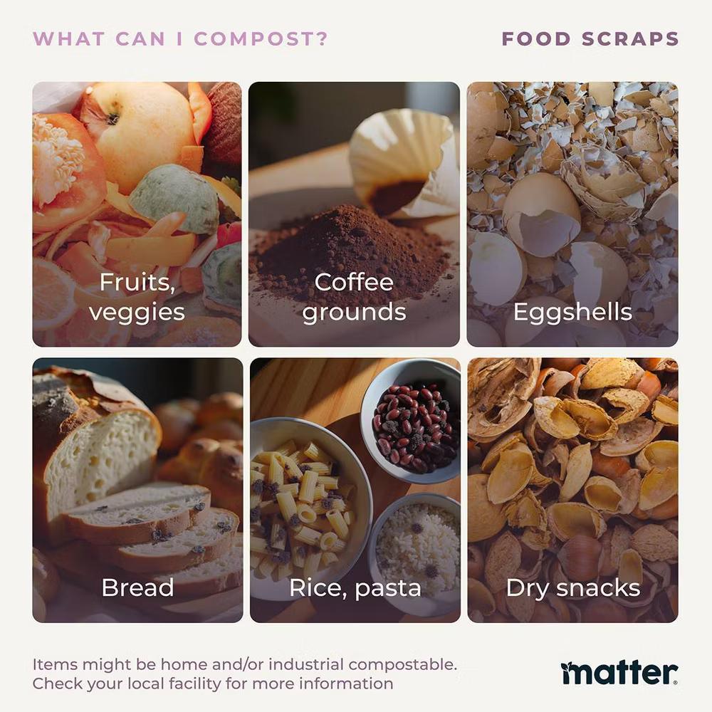 Compostable Fiber Disposable Plates 10" - Natural - 20ct - Image 5
