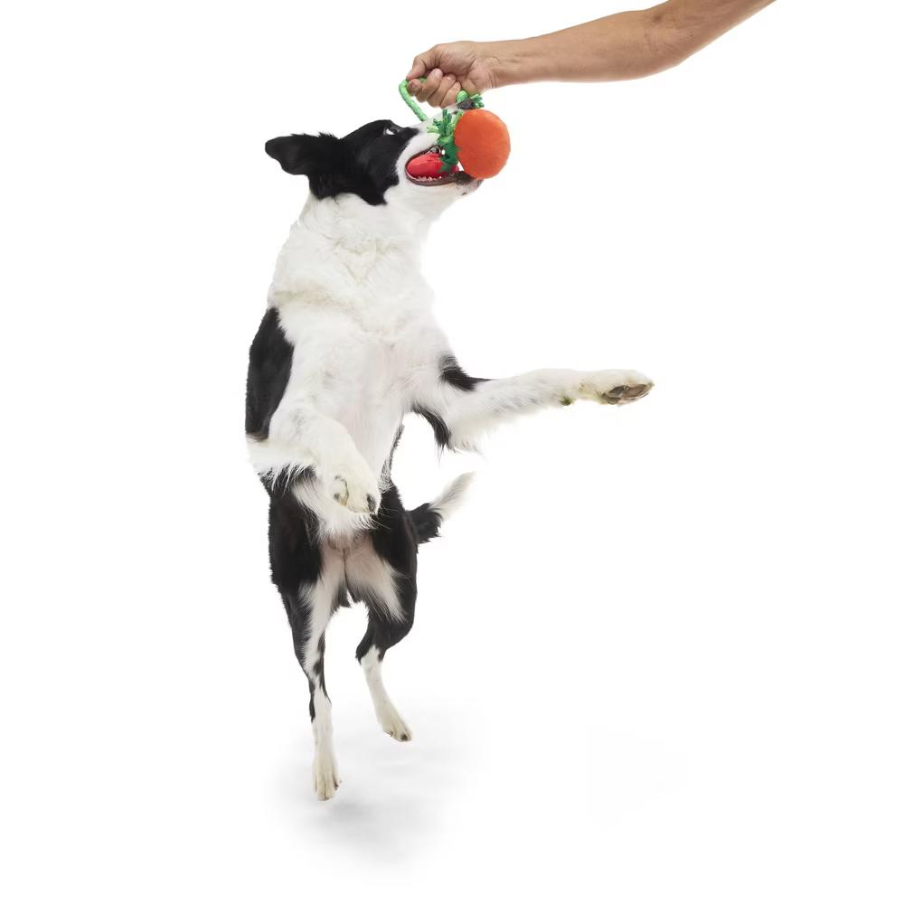Tomato Dog Toy - The Vine Trinity - Image 4