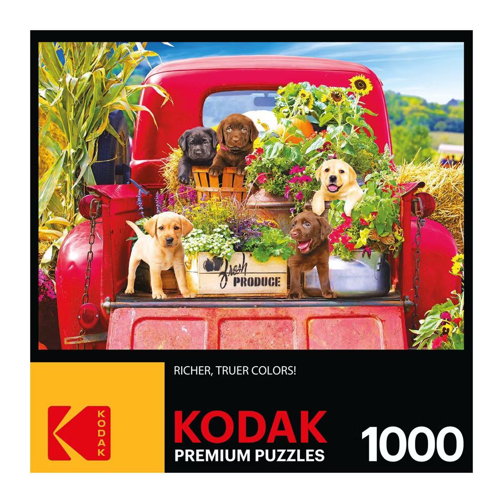 Kodak Premium Stowaways Jigsaw Puzzle - 1000pc - Image 2