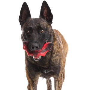 Bat Super Chewer Dog Animal Toy