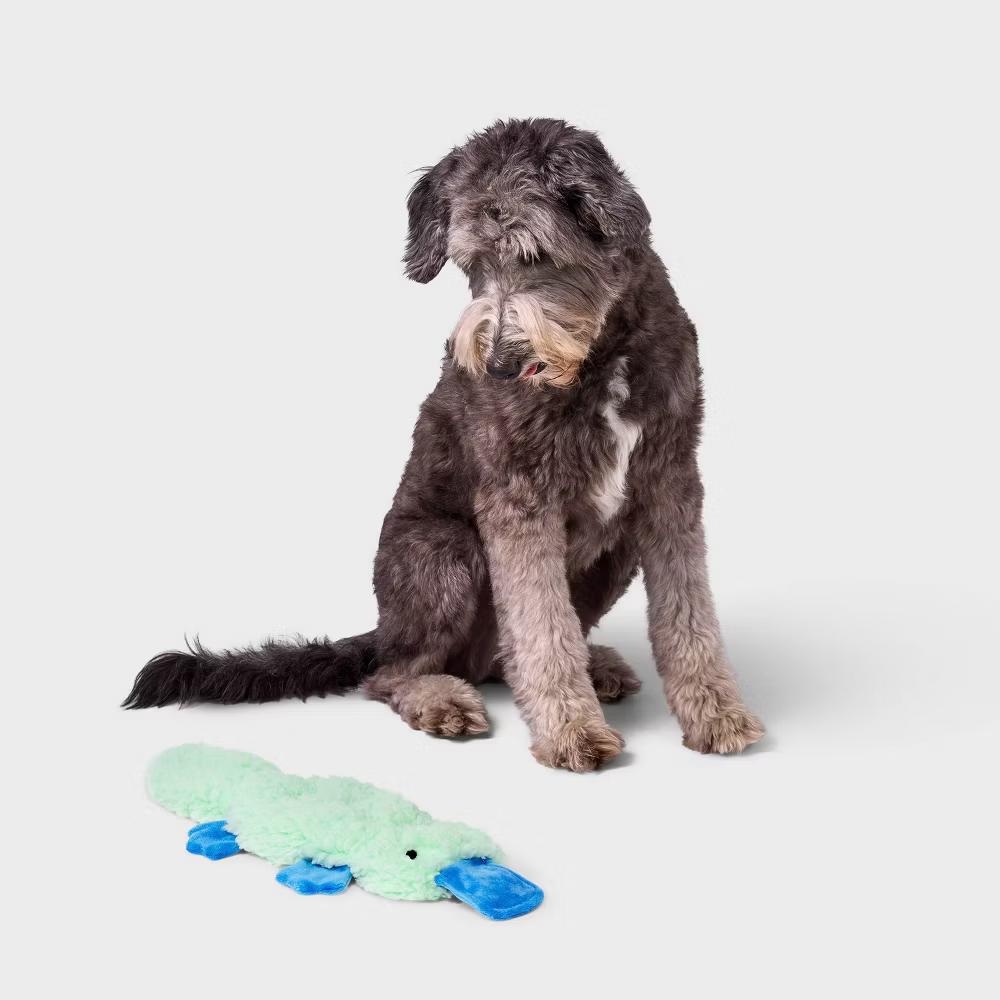 Crinkle Platypus Dog Plush Toy - Small Breed, 0.083 lbs, Cuddle, Squeaks - Image 3